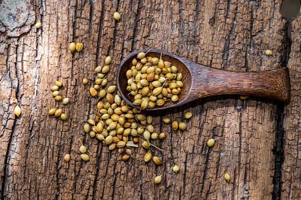 قیمت گشنیز